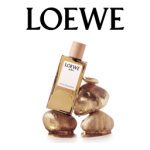 Loewe Düfte