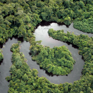 GA_2022_ADGH-EDP_SL_Digital-Sustainability-Amazonia_without-text_RVB-4000 GA_2022_ADGH-EDP_SL_Digital-Sustainability-Amazonia_without-text_RVB-4000