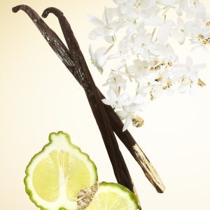 MUGLER__ALIEN_GODDESS_EDP_ingredients_1_1_V2[1]