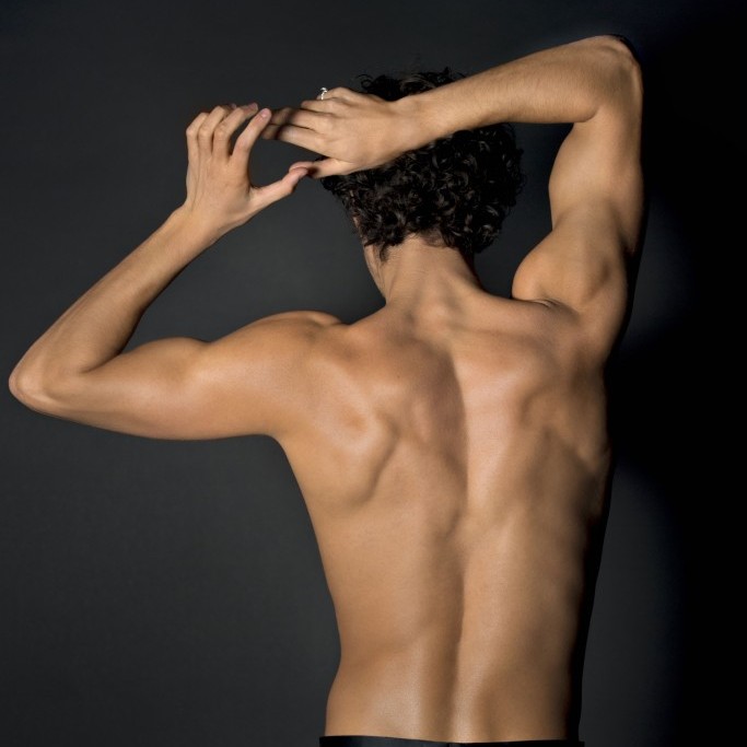 Pure XS Model Francisco Henriques Rücken