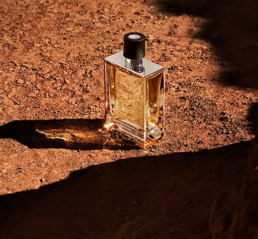 TDH_EDT_Product_Placement_Large_2_514x476px_03.jpg
