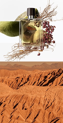 TDH_EDT_Product_Grid_Medium_3_246x476px_01.jpg