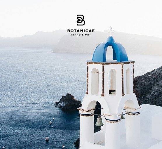 Botanicae_Product-Placement-Large_555x510-1.png