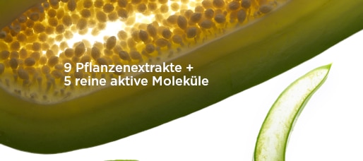 514x228_new.jpg 514x228_new.jpg