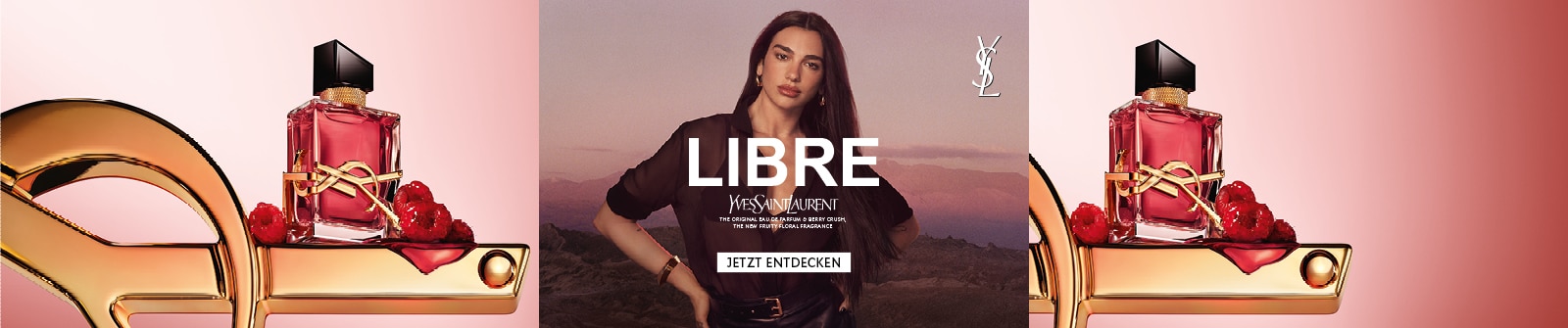 5826003 Category Banner-DT Libre Berry Crush 1600x335px.jpg