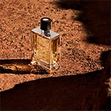 TSH_EDT_MRD_Banner6_160x160px_02.jpg
