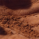 TSH_EDT_MRD_Banner1_160x160px_02.jpg