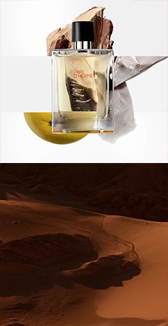 TDH_EDT_Product_Grid_Medium_2_246x476px_01.jpg