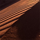 TSH_EDT_MRD_Banner3_160x160px_02.jpg