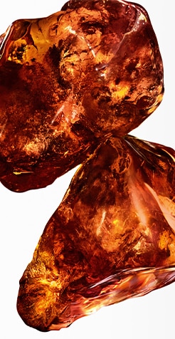 CH_La_Bomba_Intensa_x_Marionnaud_Assets_BrandPromotionLandingpage_PPMedium_246x476px_2.jpg