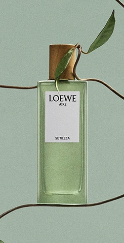 MAT2025-20-2225-Loewe-Nav-Banner-245x478.jpg