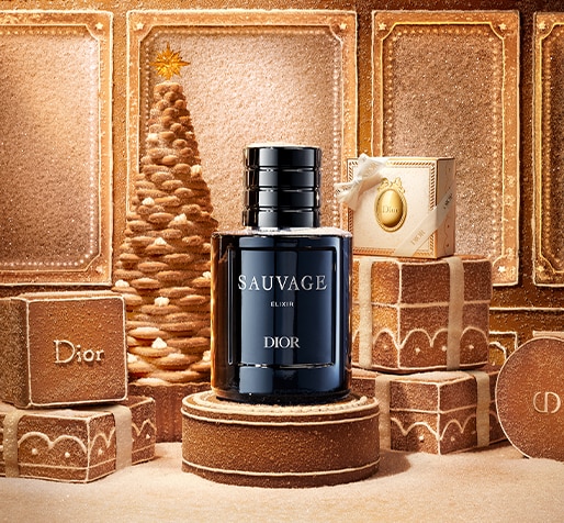 DIOR_XMAS_Marionnaud_Banner_1026_ProductPlacement1-3_514x476px_3-1677177_01.jpg