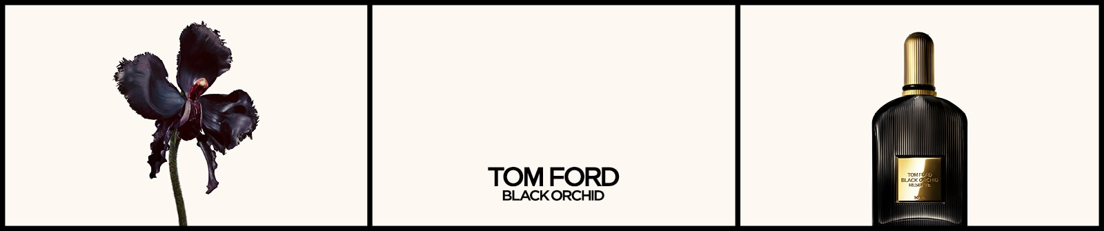 Tom Ford Black Orchid Parfümflasche mit goldenem Etikett neben einer dunklen Orchideenblüte auf weißem Hintergrund