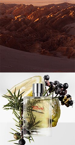 TDH_EDT_Product_Grid_Medium_4_246x476px_01.jpg