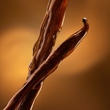 Teaser_4.jpg