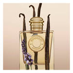 100 ML Burberry BURBERRY GODDESS Eau de Parfum  2 of 3 Eau de Parfum