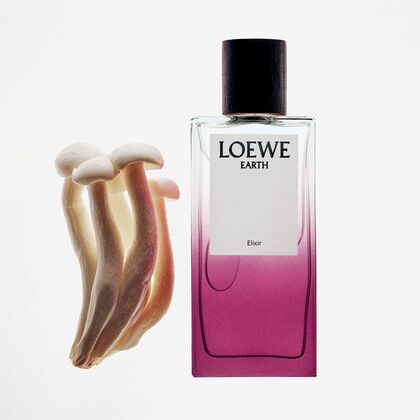 100 ML LOEWE EARTH Eau de Parfum  1 of 5 