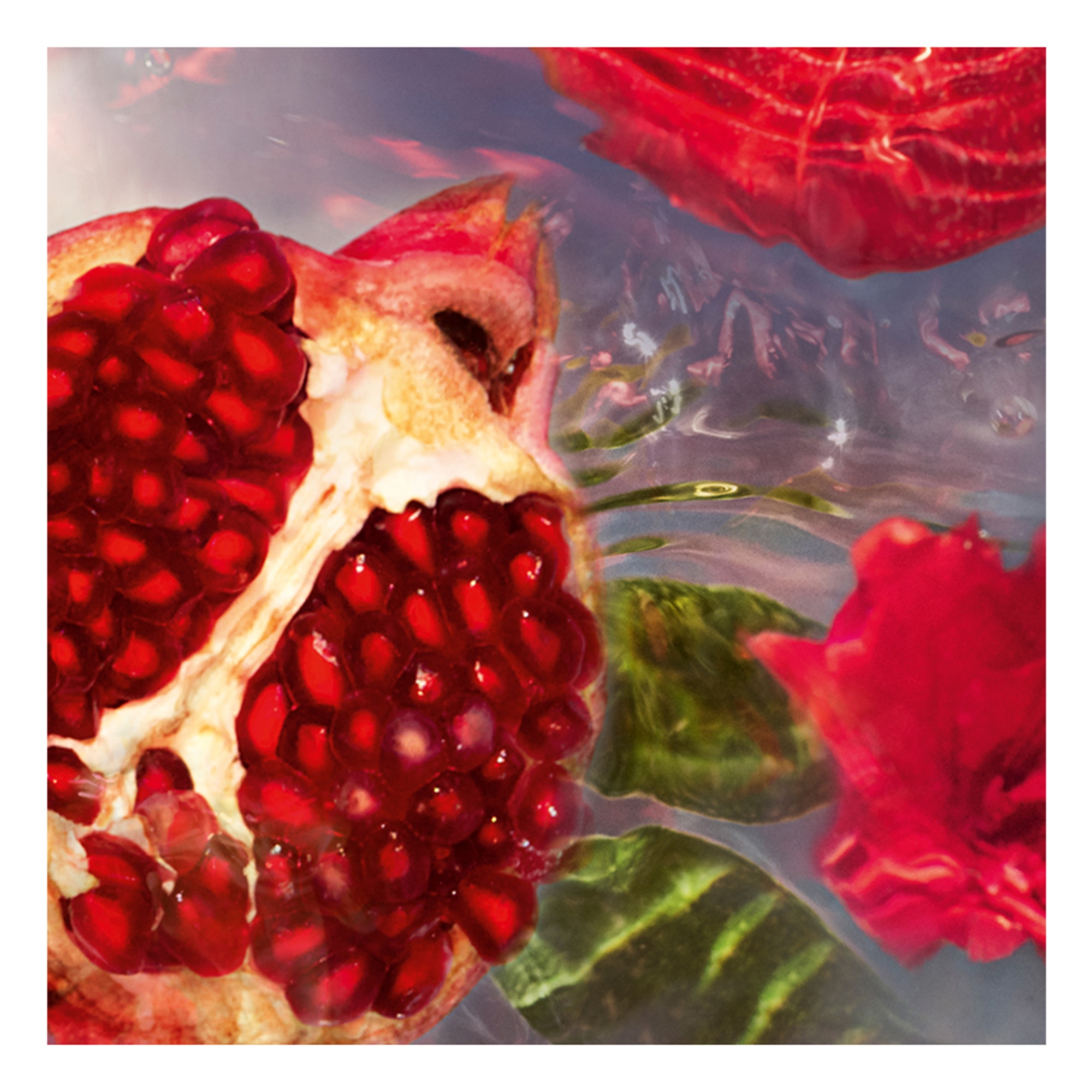 Granada Salvia Eau de Toilette