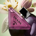 50 ML Prada Paradoxe Sweet Chemistry Eau de Parfum  2 of 7 Eau de Parfum