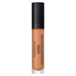 BAREPRO 16 HR Concealer
