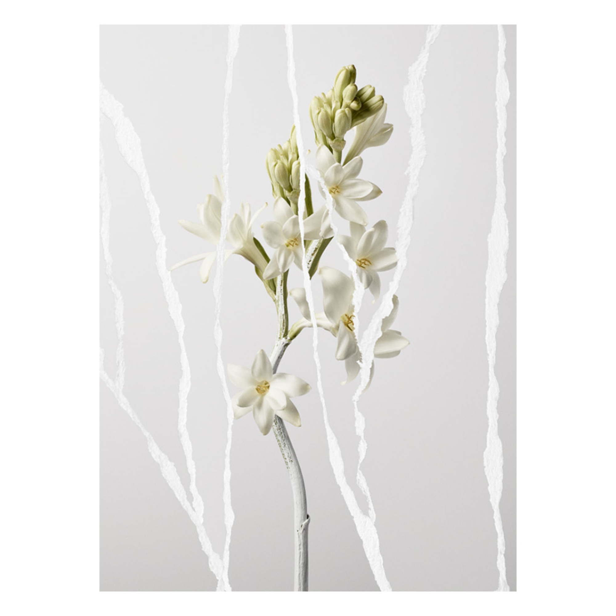 Mutiny Eau de Parfum, 90 ml