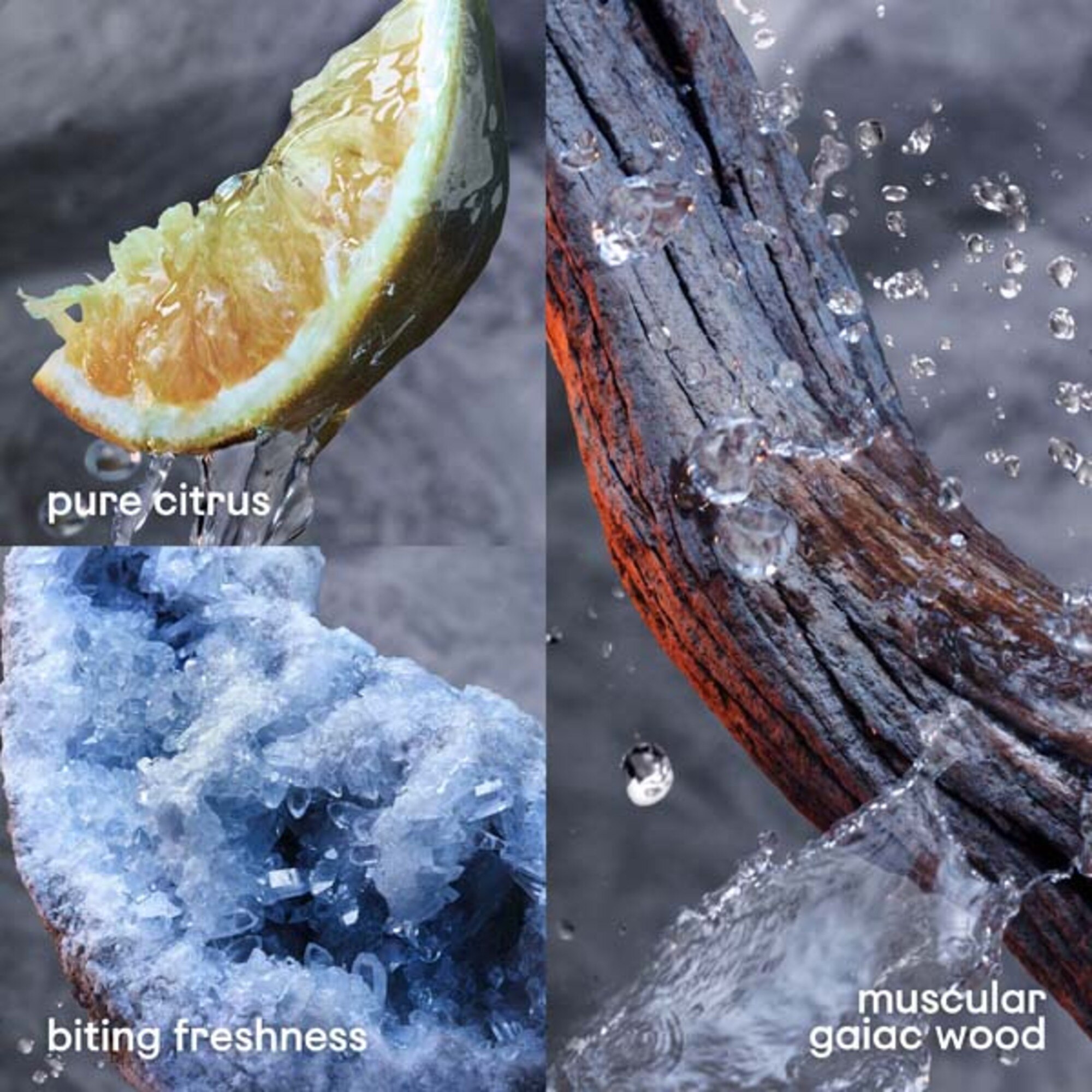 Invictus Aftershave Lotion