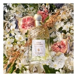 75 ML Guerlain AQUA ALLEGORIA Nerolia Vetiver Eau de Toilette 2 of 3 Nerolia Vetiver Eau de Toilette