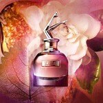 80 ML Jean Paul Gaultier SCANDAL Eau de Parfum  3 of 5 Eau de Parfum