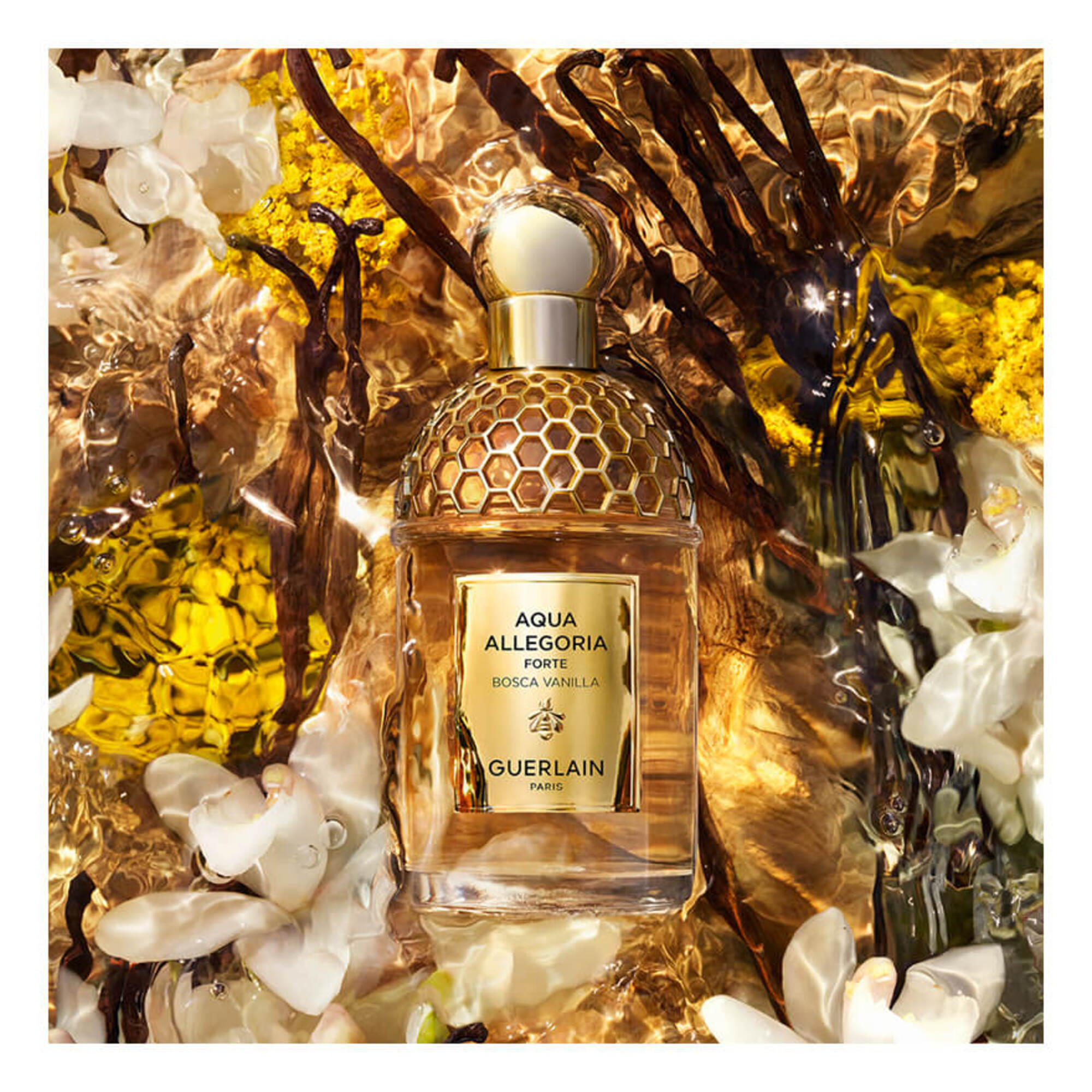 Bosca Vanilla Forte Eau de Parfum