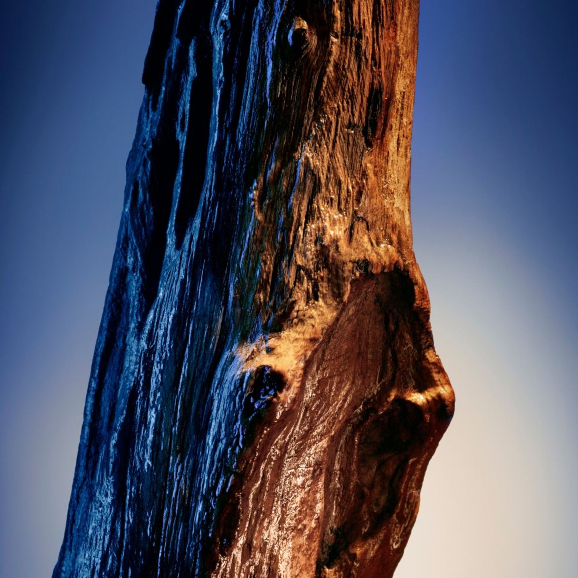 DF DEO COOL ELIXIR PARFUM