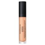 BAREPRO 16 HR Concealer