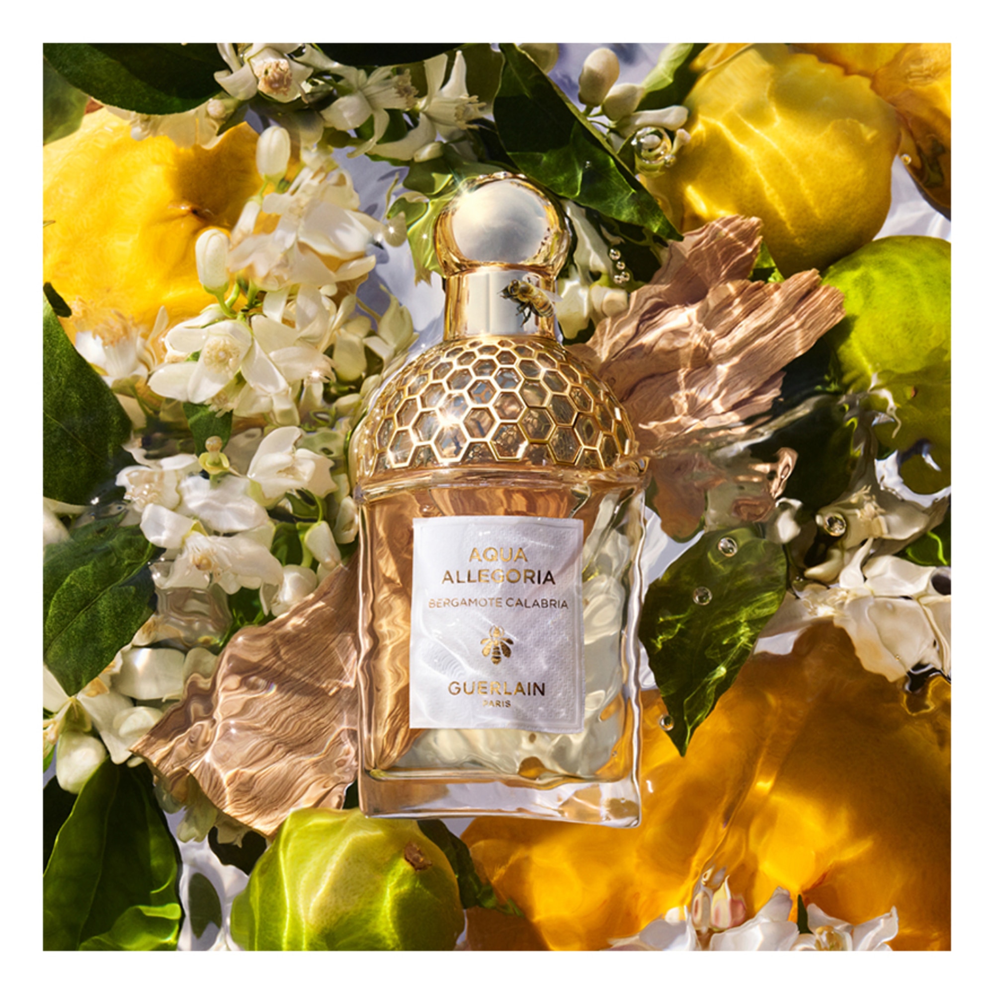 75 ML Guerlain AQUA ALLEGORIA Bergamote Calabria Eau de Toilette  1 of 3 