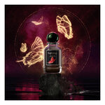 100 ML Nightology VIVID VELVET Eau de Parfum 1 of 2 Eau de Parfum