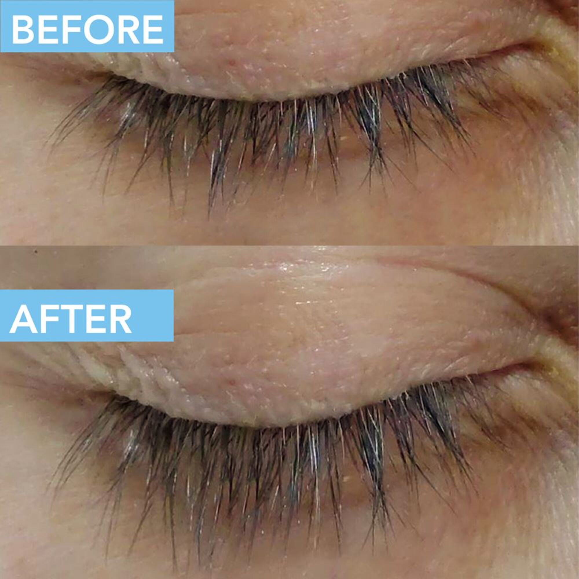 Lash and Brow Serum