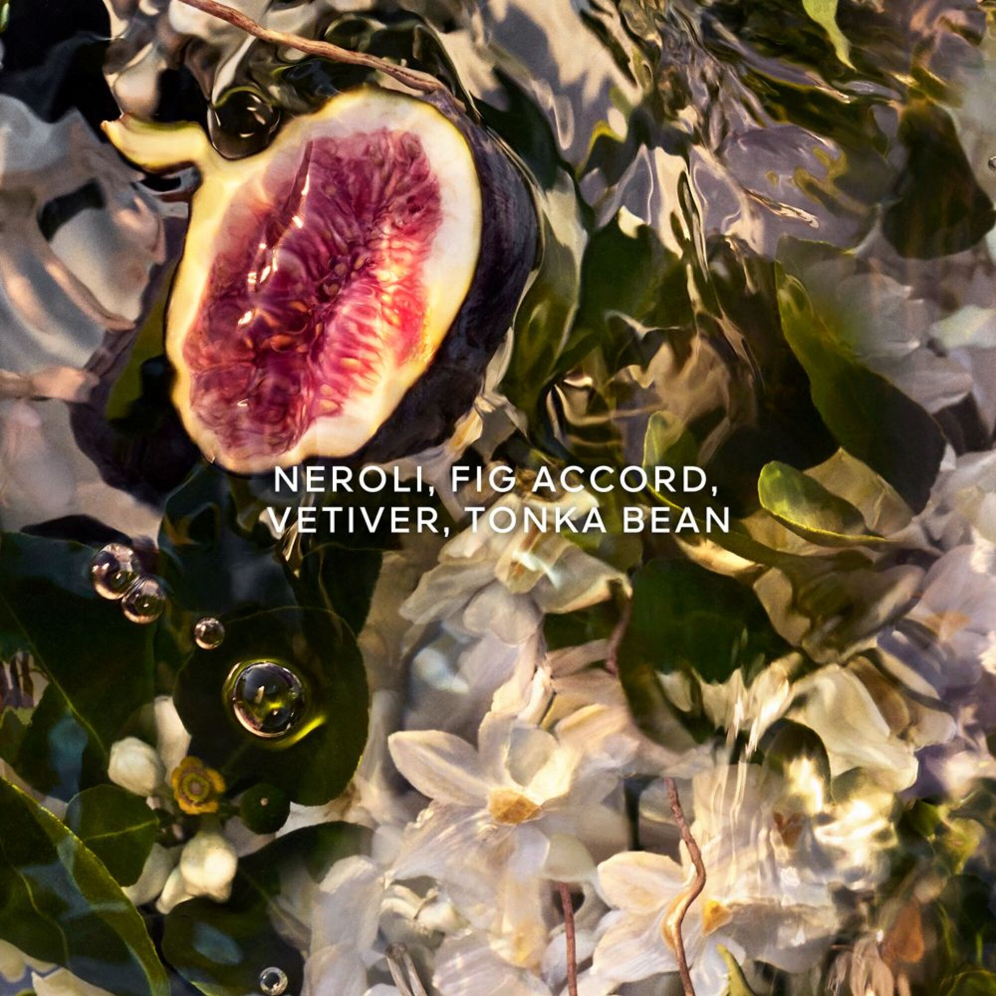 Nerolia Vetiver Forte Eau de Parfum Refill