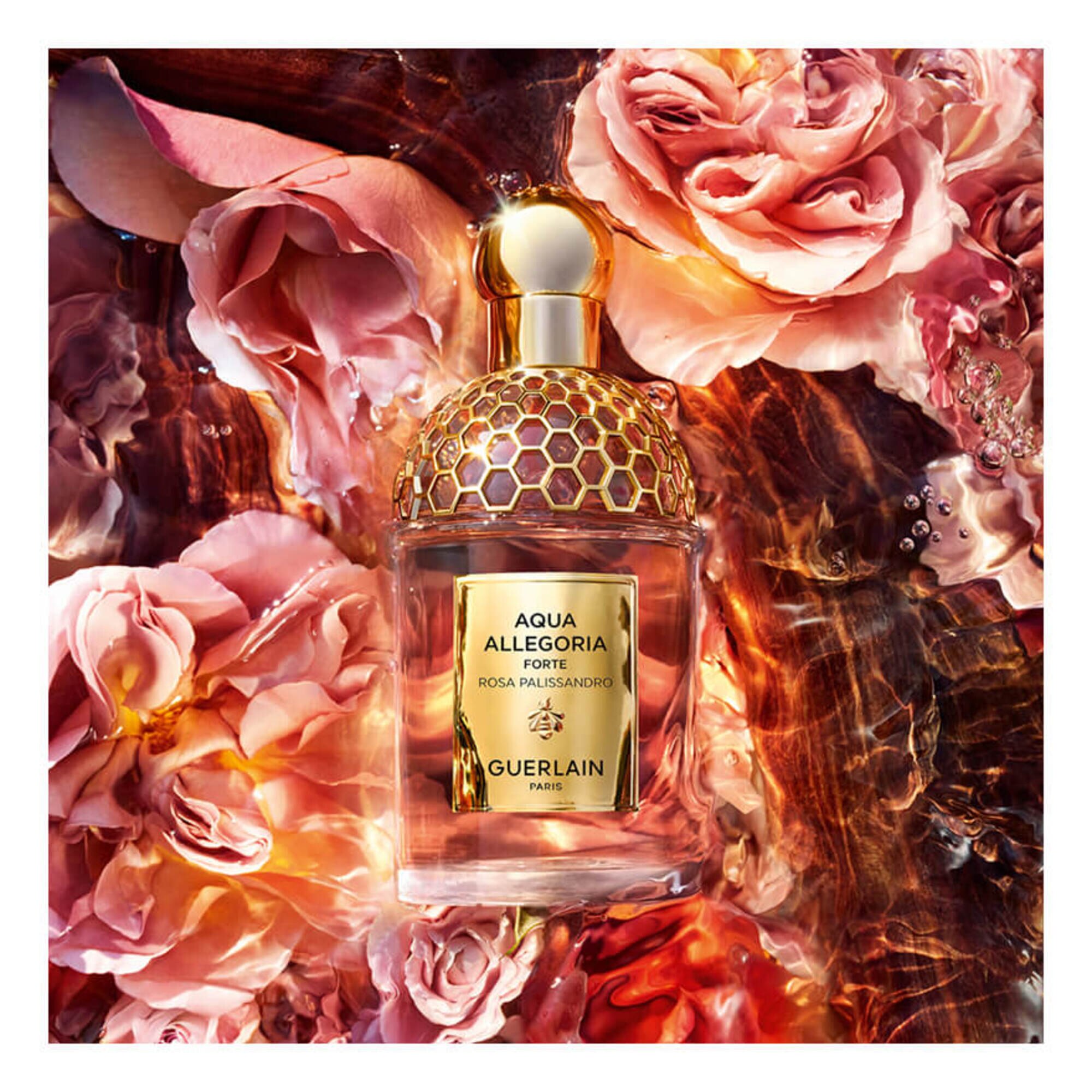 Rosa Palissandro Forte Eau de Parfum