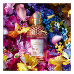 75 ML Guerlain AQUA ALLEGORIA Florabloom Eau de Toilette 3 of 3 Florabloom Eau de Toilette