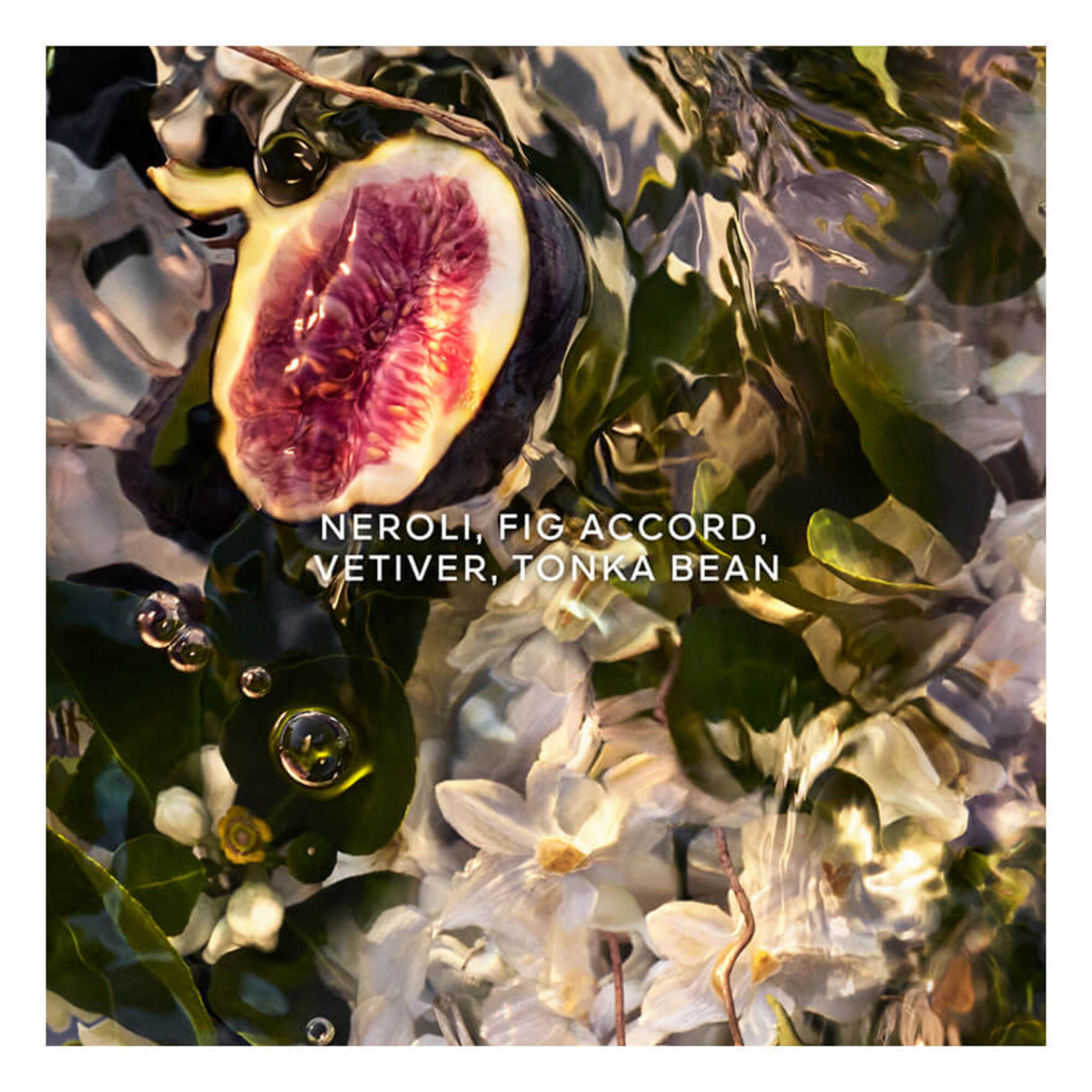 Nerolia Vetiver Forte Eau de Parfum