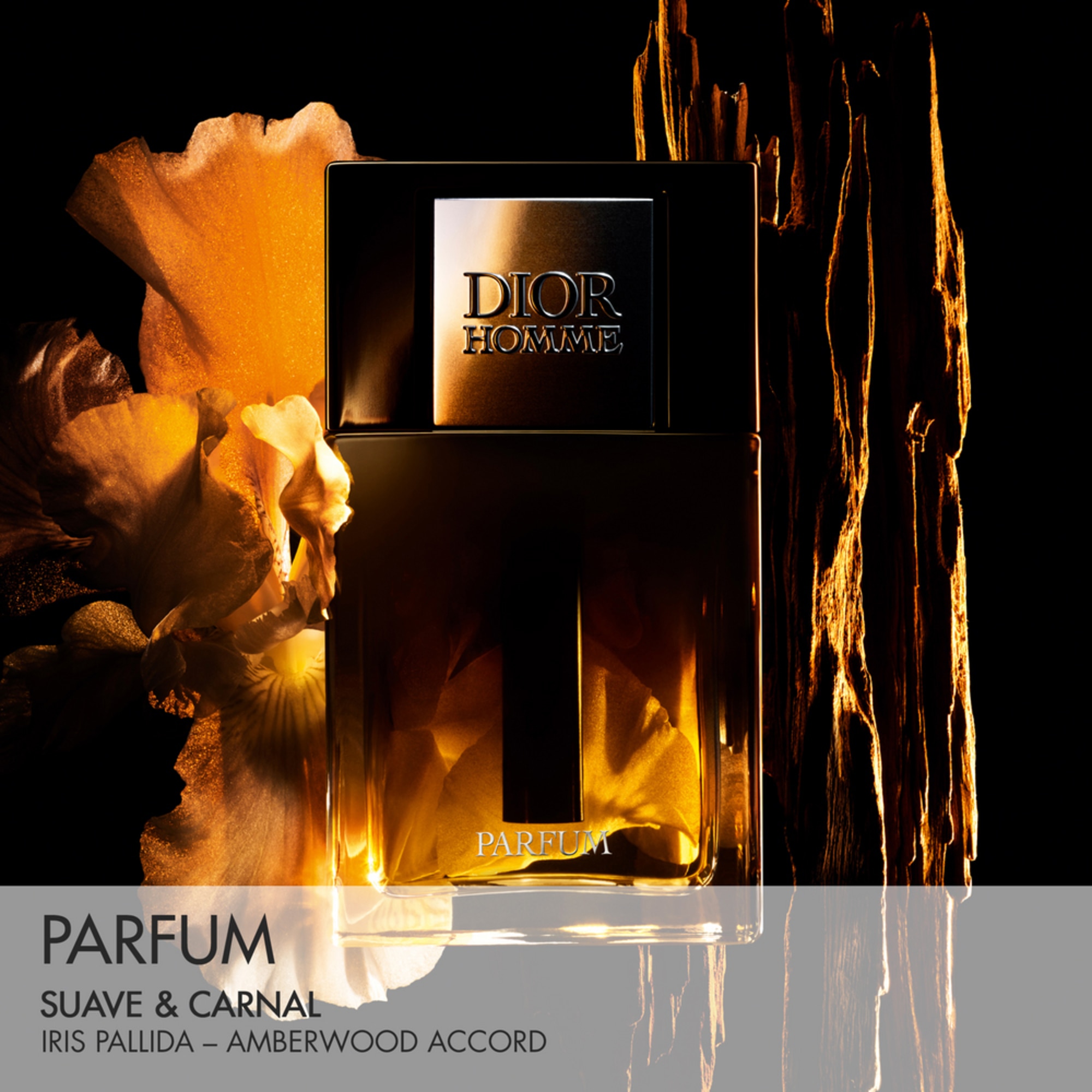 125 ML Dior DIOR HOMME LE PARFUM Parfum 1 of 1 Parfum
