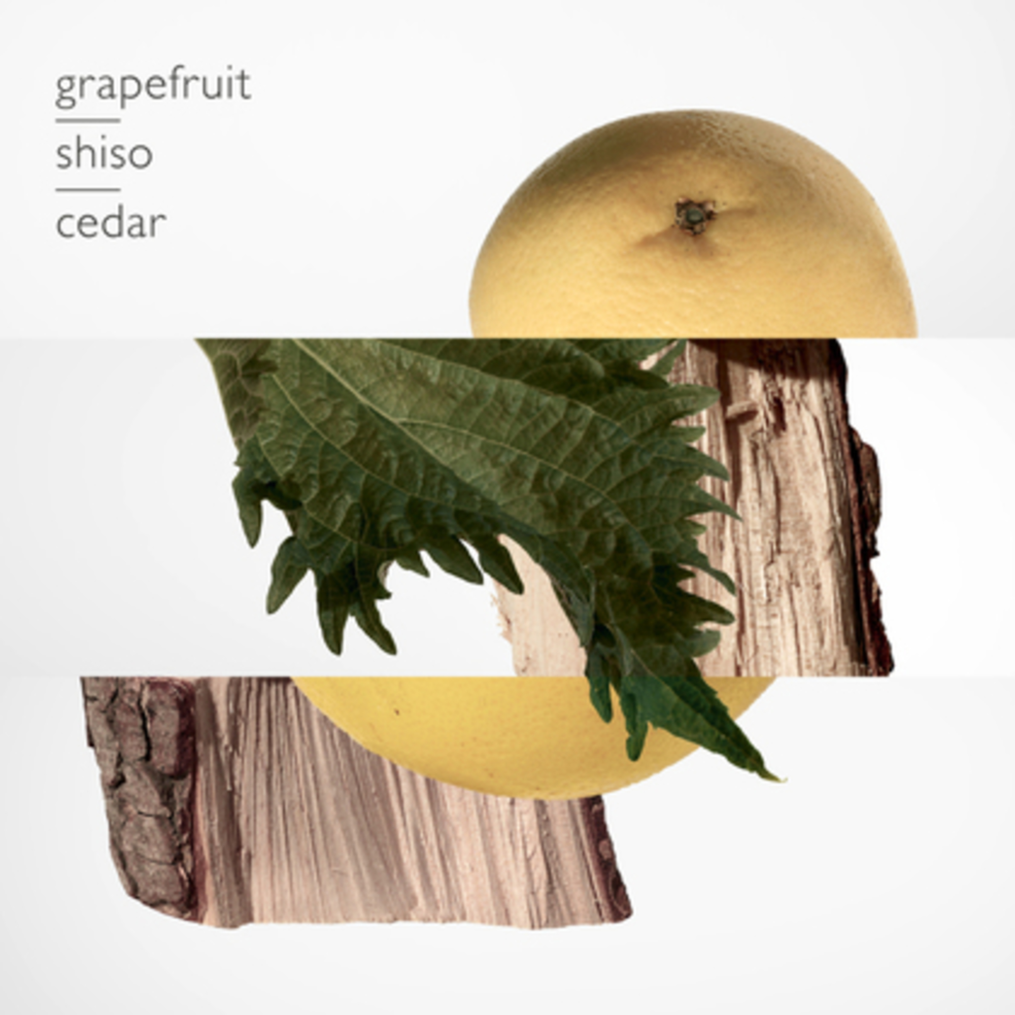 TERRE D'HERMÈS Eau de Parfum