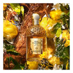 75 ML Guerlain AQUA ALLEGORIA Oud Yuzu Forte Eau de Parfum 3 of 3 Oud Yuzu Forte Eau de Parfum