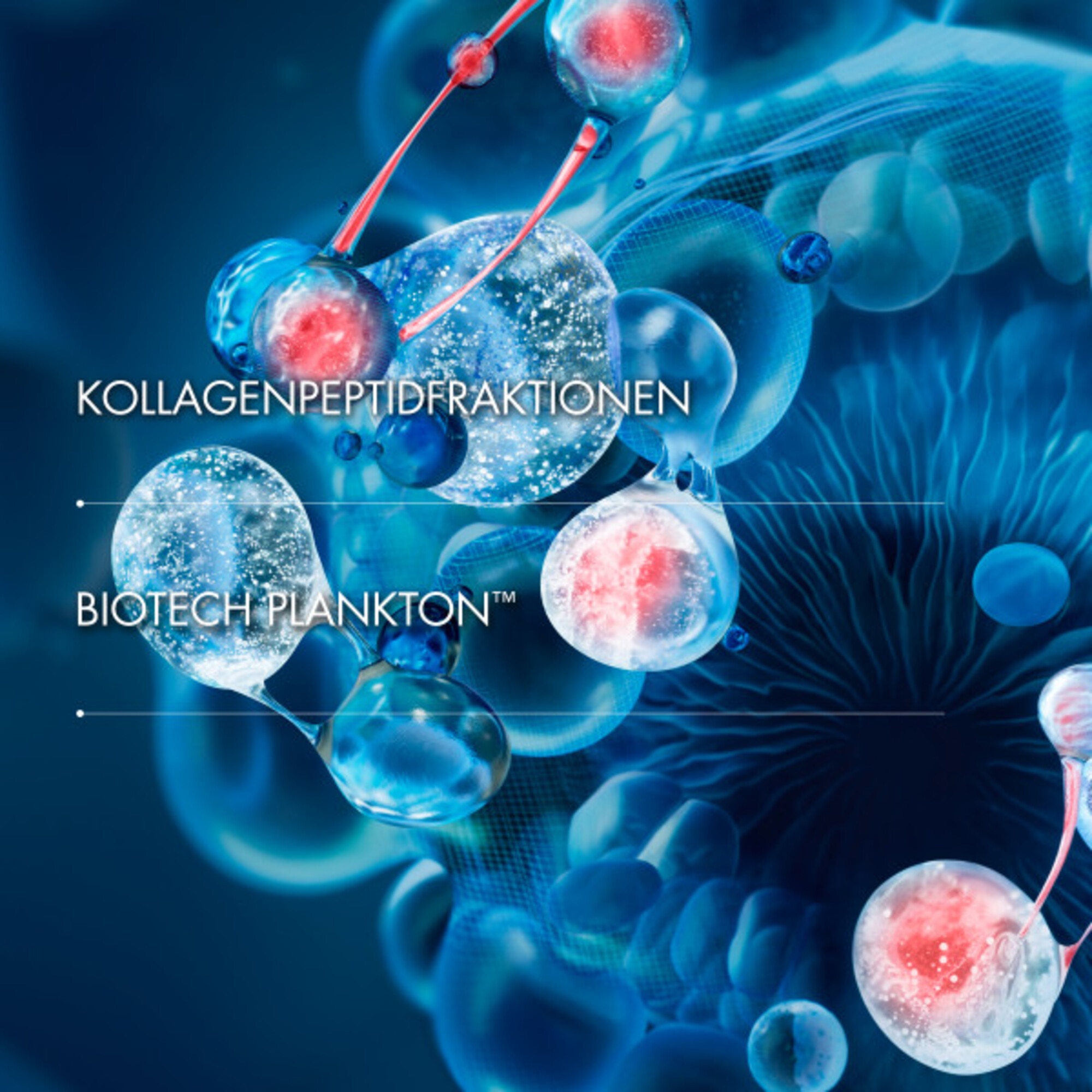 Blue Peptides Uplift Night Cream