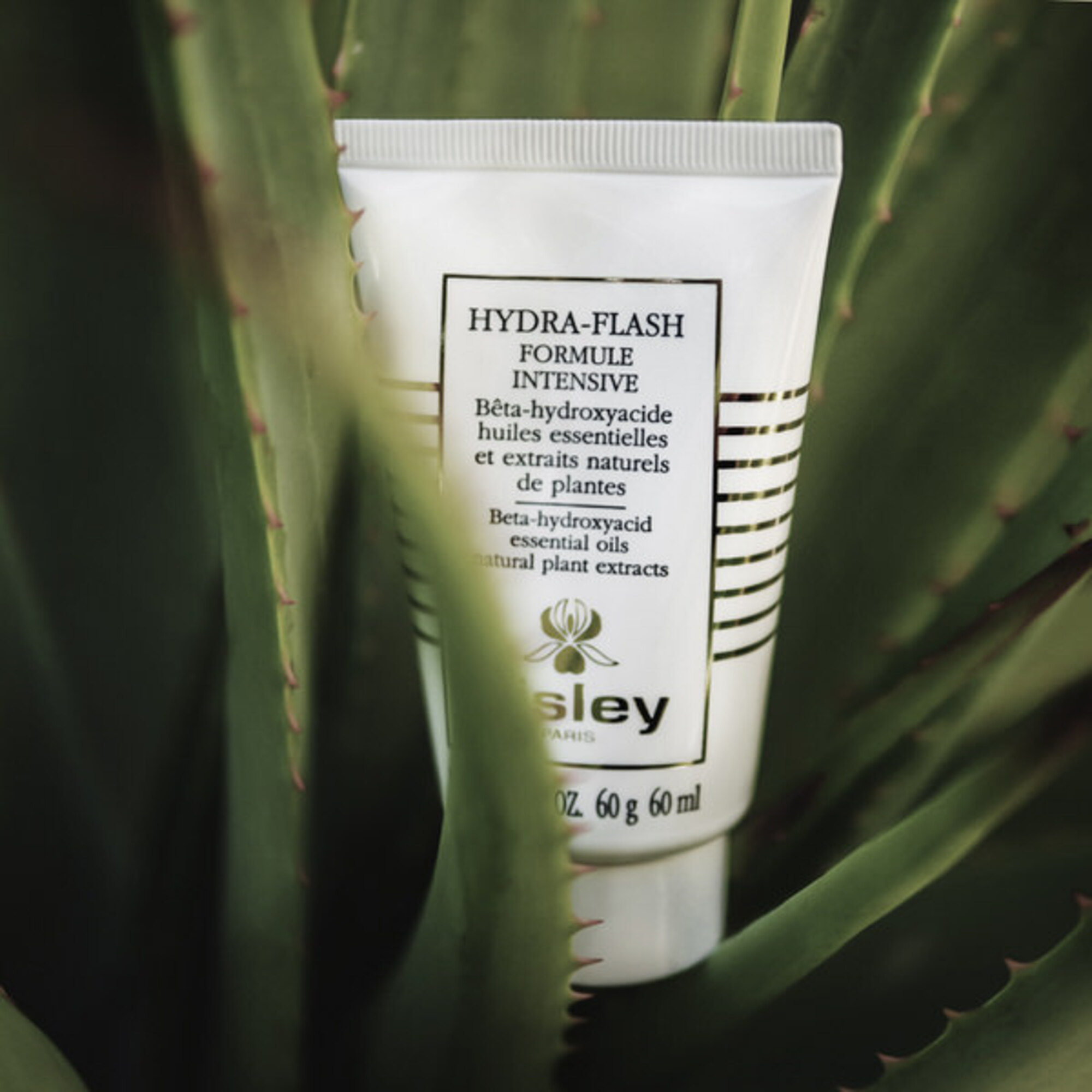 Feuchtigkeitsspendende Maske