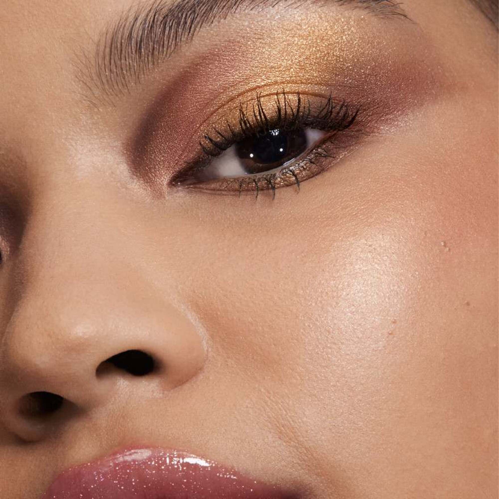 Holiday Collection Limited Edition