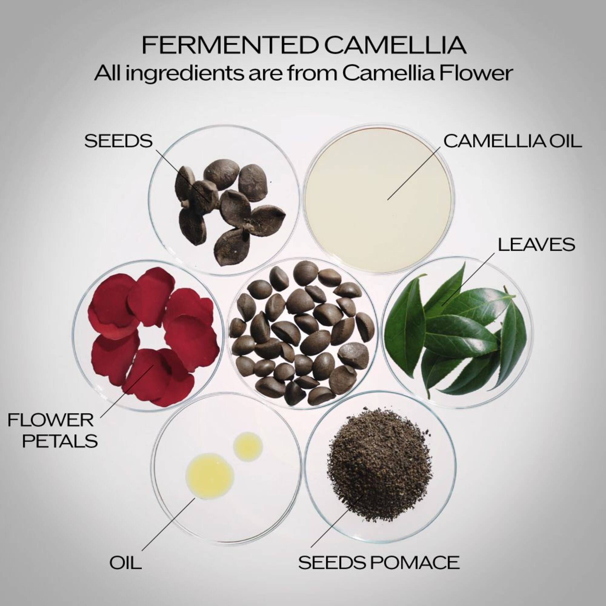 Ultimune Power Infusing Concentrate 4.0 30ml