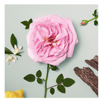 50 ML Chloé CHLOÉ NATURELLE CHLOÉ SIGNATURE NA  2 of 3 CHLOÉ SIGNATURE NA