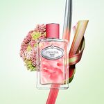 100 ML Prada LES INFUSIONS Eau de Parfum  3 of 3 Eau de Parfum
