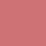 Estée Lauder FUTURIST Blush 2 of 5 Blush