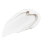 50 ML Sisley ALL DAY ALL YEAR Globale Anti-Aging Tagespflege 2 of 3 Globale Anti-Aging Tagespflege