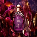 75 ML Guerlain Absolus Allegoria Tabac Sahara Eau de Parfum 3 of 7 Eau de Parfum